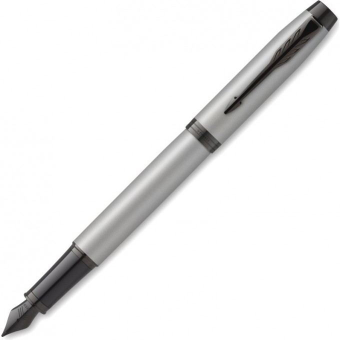 Ручка перьевая PARKER IM ACHROMATIC MATTE GRAY BT CW2127619